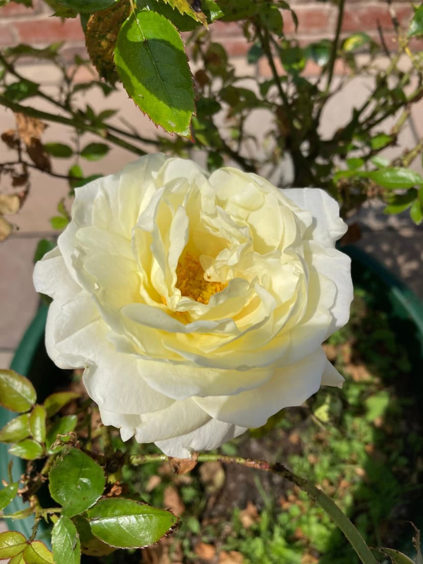 The Importance of One