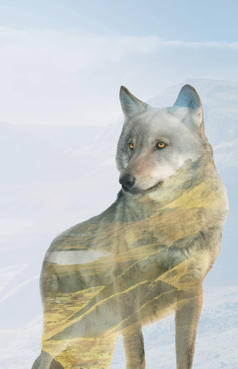 The Wolves That Lie Within