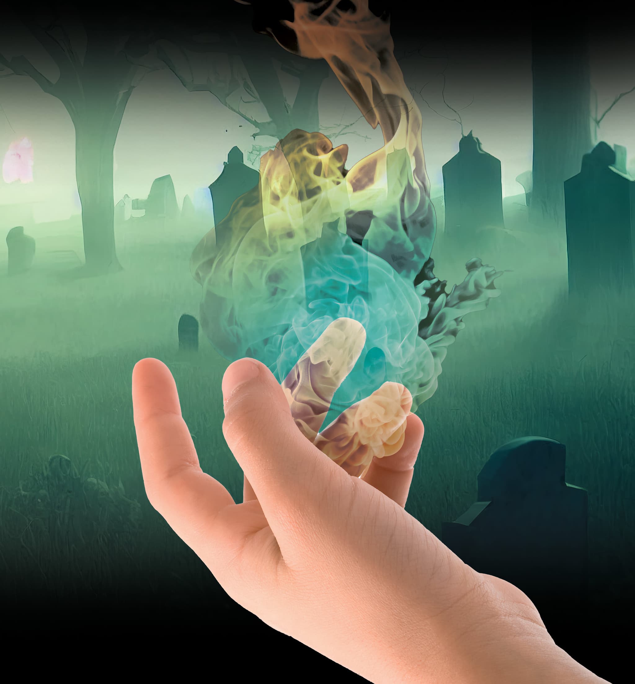 Murder In The Valley